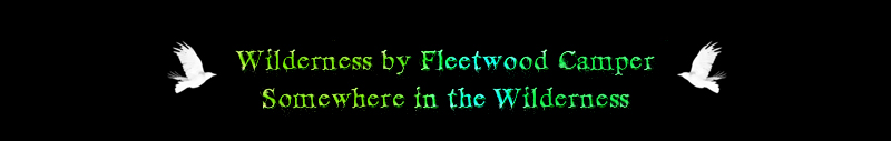 Wilderness by Fleetwood