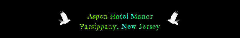 Aspen Hotel Manor Header